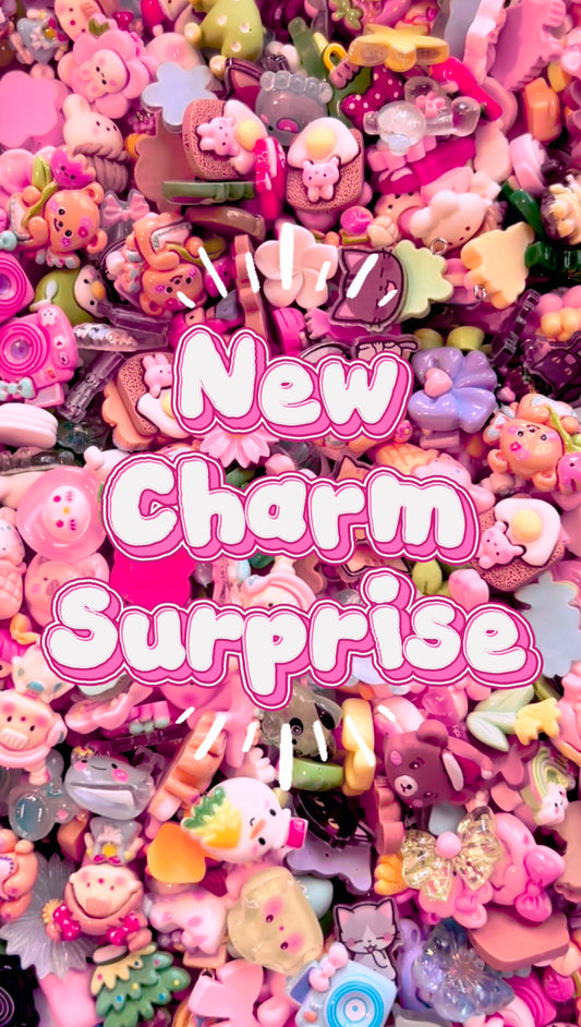Charm Surprise!!